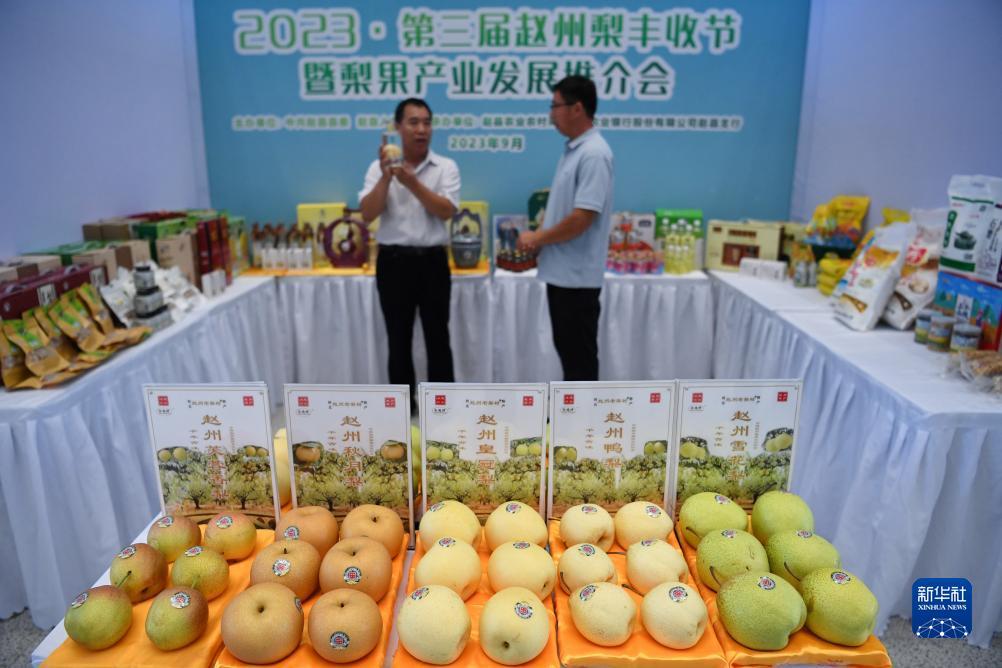 2018最新白菜网平台大全